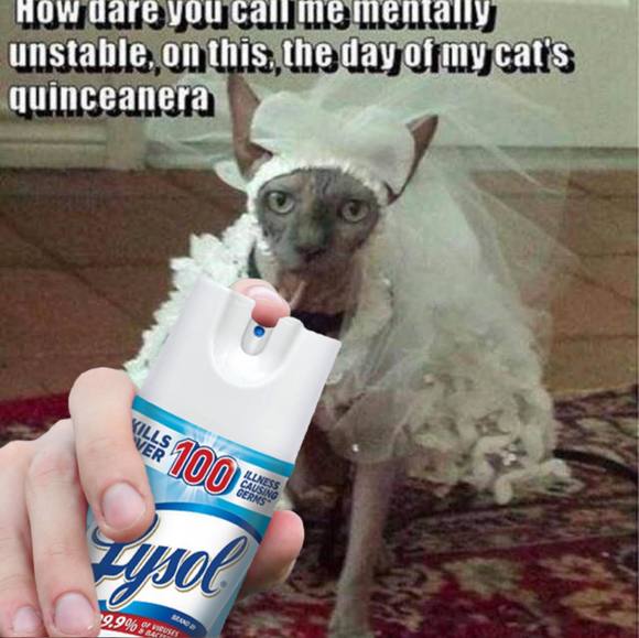 krazycat974